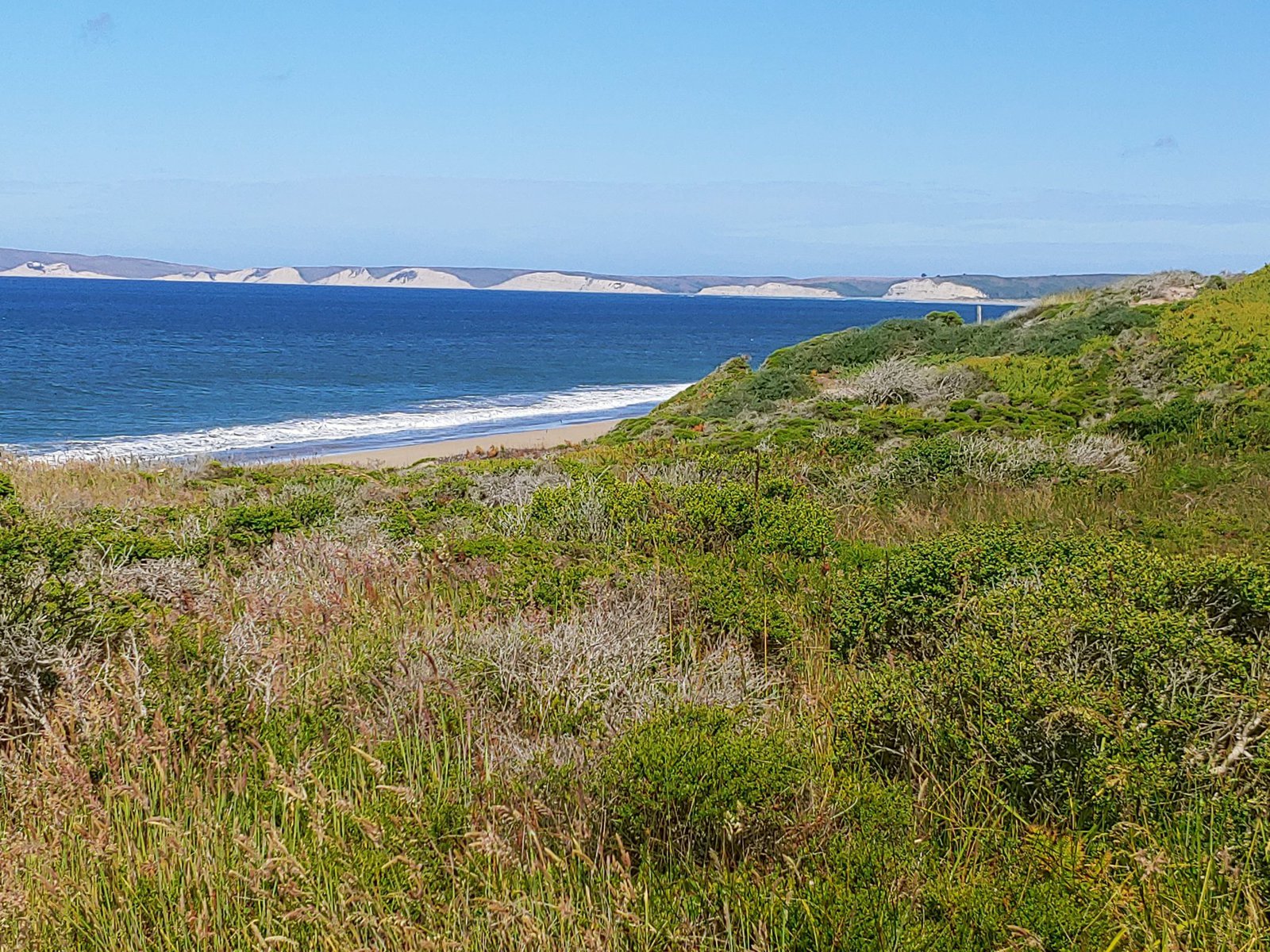 Point Reyes Hiking & Views - A Different Kind of Travel