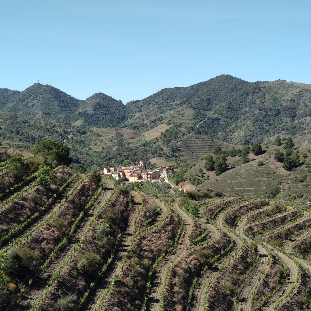 priorat winery tours